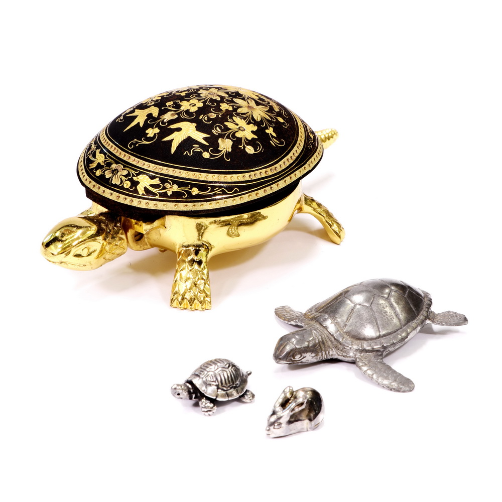 Tortoises Collection