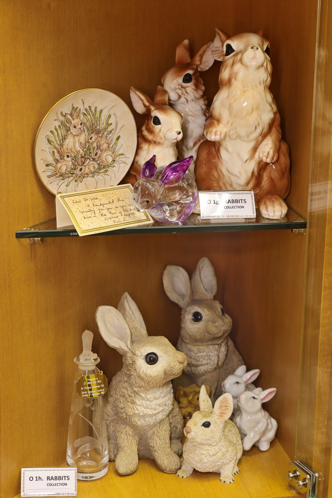 Dr Wee's collection of rabbits