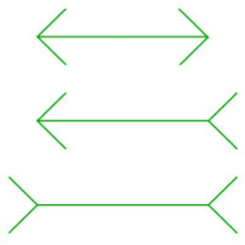 A green arrows pointing to the right

Description automatically generated with medium confidence